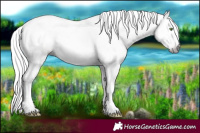 Horse Color:Gray Sable Champagne Tobiano Frame 