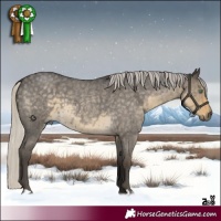Horse Color:Silver Smoky Grullo Roan 