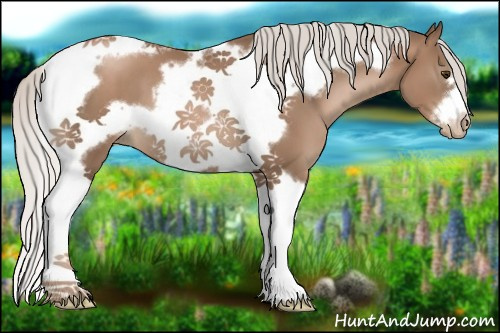 Horse Color:Silver Black Pearl Tobiano Frame 