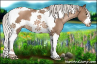 Horse Color:Silver Black Pearl Tobiano Frame 