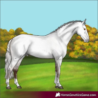 Horse Color:Gray Silver Blue Roan Pearl Tobiano 