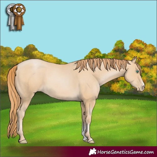 Horse Color:Smoky Black Pearl Sabino