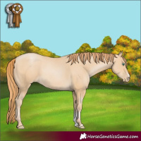 Horse Color:Smoky Black Pearl Sabino