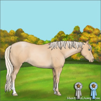 Horse Color:Palomino Pearl Sabino