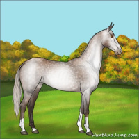 Horse Color:Gray Silver Black Pearl Tobiano 