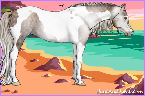 Horse Color:Gray Silver Black Pearl Tobiano 