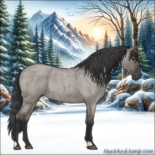 Horse Color:Grullo Roan Rabicano