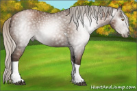 Horse Color:Gray Silver Black Pearl Tobiano