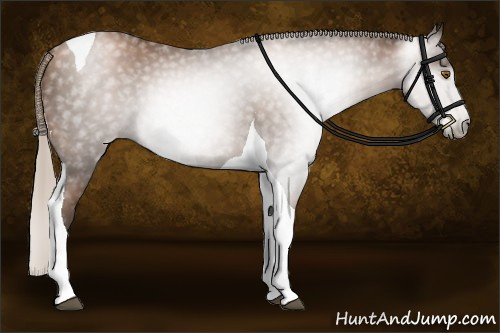 Horse Color:Gray Silver Black Pearl Tobiano