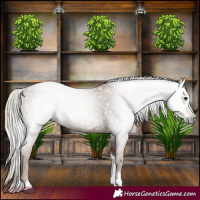 Horse Color:Gray Silver Black Pearl Tobiano 