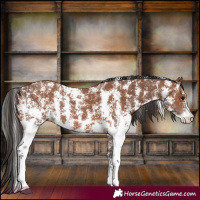 Horse Color:Bay Sabino Rabicano  and Brown Sabino Rabicano 