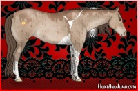 Horse Color:Grullo Pearl Tobiano Rabicano Brindle 