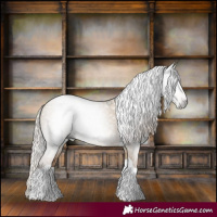 Horse Color:Gray Silver Grullo Pearl Tobiano