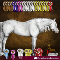 Horse Color:White Spotted Buckskin Dun Sabino 