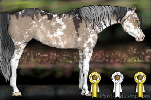 Horse Color:Brown Dun Sabino