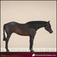 Horse Color:Brown 
