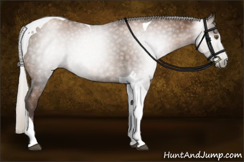 Horse Color:Gray Silver Black Pearl Tobiano