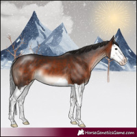 Horse Color:Brown Splash