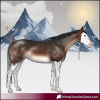 Horse Color:Brown Splash