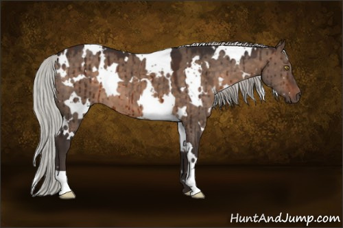 Horse Color:White Spotted Silver Brown Dun Brindle 