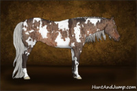 Horse Color:White Spotted Silver Brown Dun Brindle 