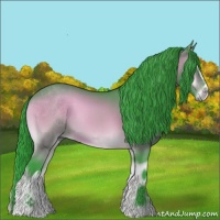 Horse Color:Watercolor Bay Onyx 