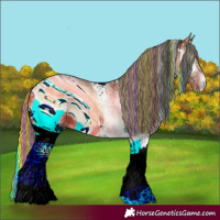 Horse Color:ERROR: UNKNOWN ANOMALY