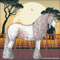 Horse Color:Watercolor White Spotted Palomino Ice Splash Tobiano 
