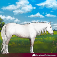 Horse Color:Gray Silver Black Pearl Tobiano 