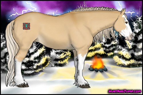 Horse Color:Palomino Dun Splash 