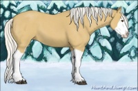 Horse Color:Silver Buckskin Roan Splash 