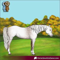 Horse Color:Gray Silver Black Pearl Tobiano 