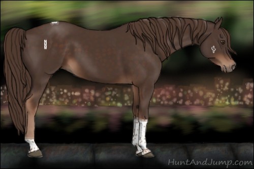 Horse Color:Liver Chestnut Tobiano
