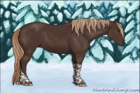 Horse Color:Liver Chestnut Tobiano 