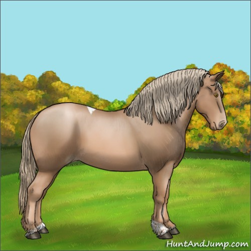 Horse Color:Liver Chestnut Pearl Tobiano