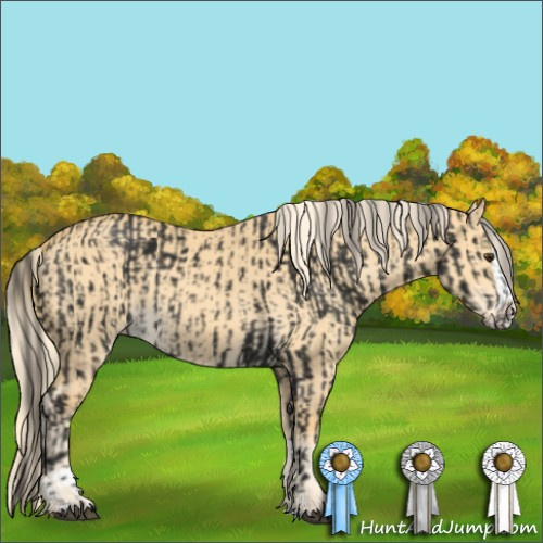 Horse Color:Liver Chestnut Tobiano  and Palomino Dun Splash 