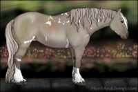 Horse Color:White Spotted Silver Grullo Tobiano 