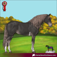 Horse Color:Platinum Liver Chestnut Tobiano 