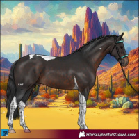 Horse Color:Brown Tobiano 