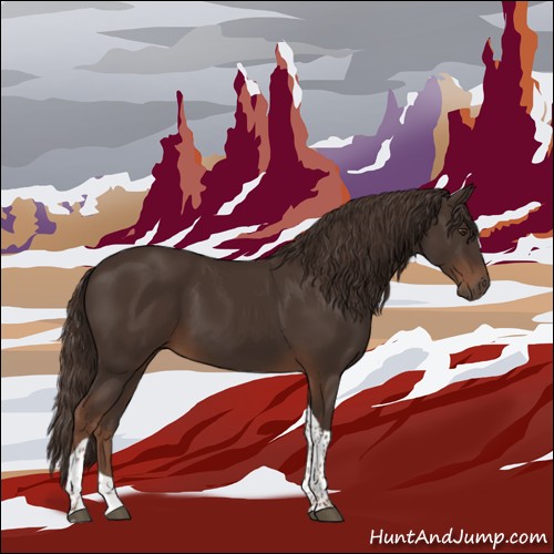 Horse Color:Liver Chestnut Tobiano 