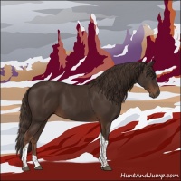 Horse Color:Liver Chestnut Tobiano 