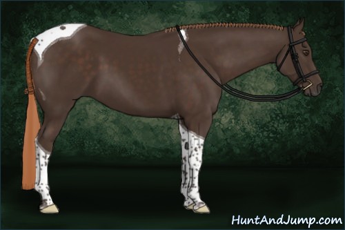 Horse Color:Liver Chestnut Tobiano