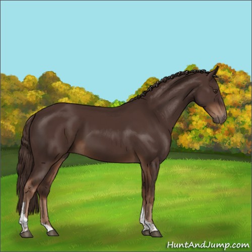 Horse Color:Liver Chestnut Tobiano 