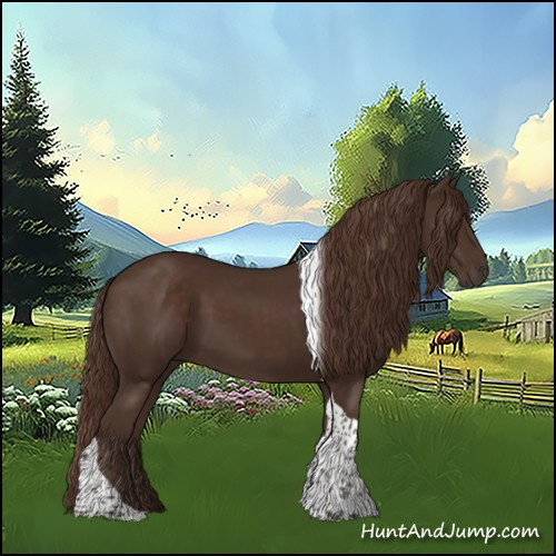 Horse Color:Liver Chestnut Tobiano 