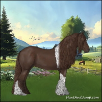 Horse Color:Liver Chestnut Tobiano 