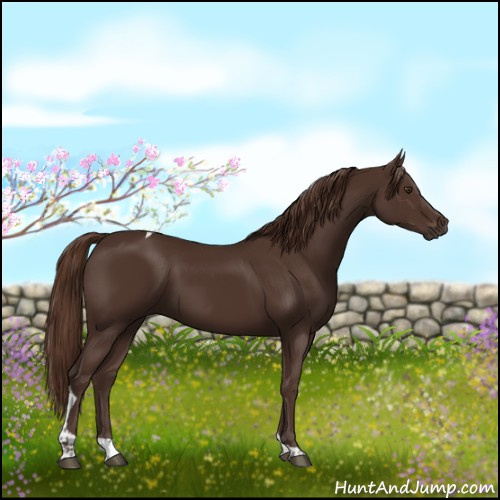 Horse Color:Liver Chestnut Tobiano 
