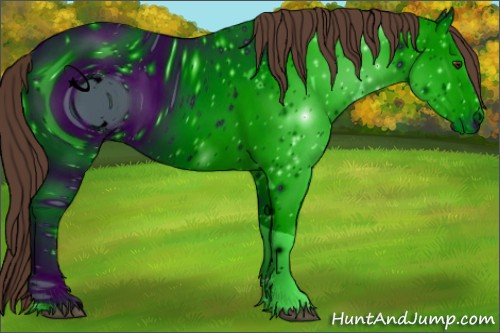 Horse Color:ERROR: UNKNOWN ANOMALY