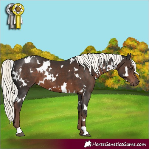Horse Color:White Spotted Liver Chestnut Mushroom 