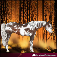 Horse Color:White Spotted Liver Chestnut Mushroom Sabino 