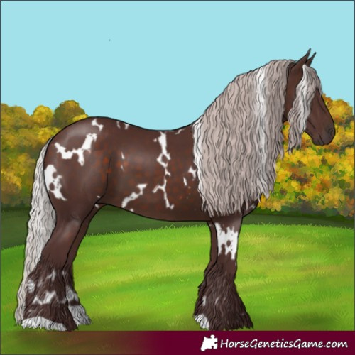 Horse Color:White Spotted Chocolate Silver Brown
